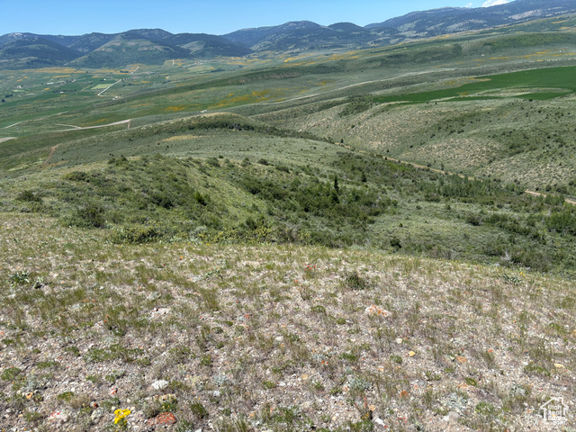 10 Stauffer Canyon Road Montpelier, ID 83254 - Photo 49 of 50 Mountain view
