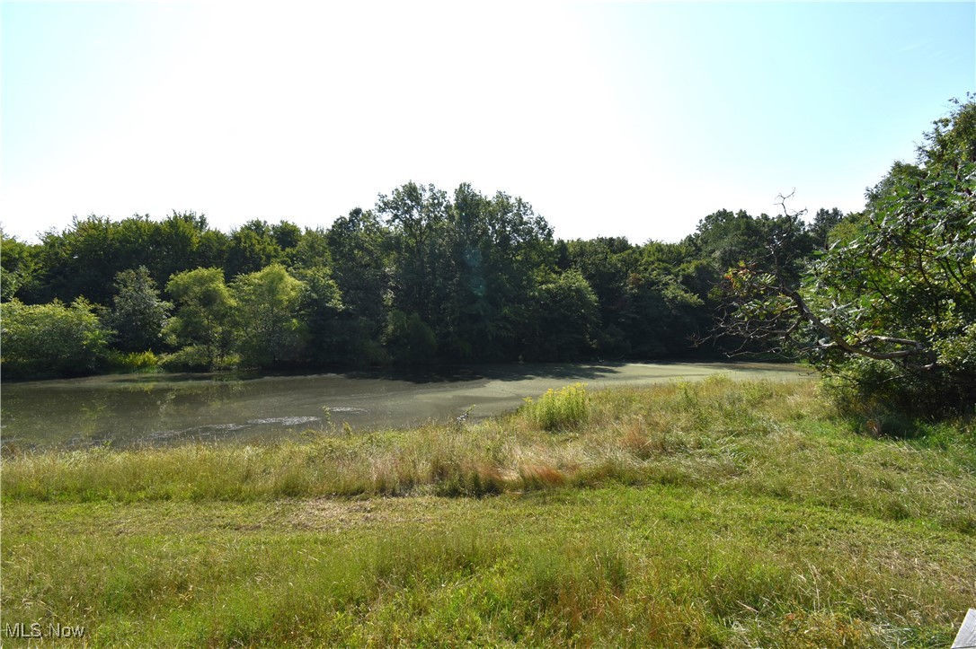 0 Warren - Sharon Road Masury, OH 44438 - Photo 7 of 10
