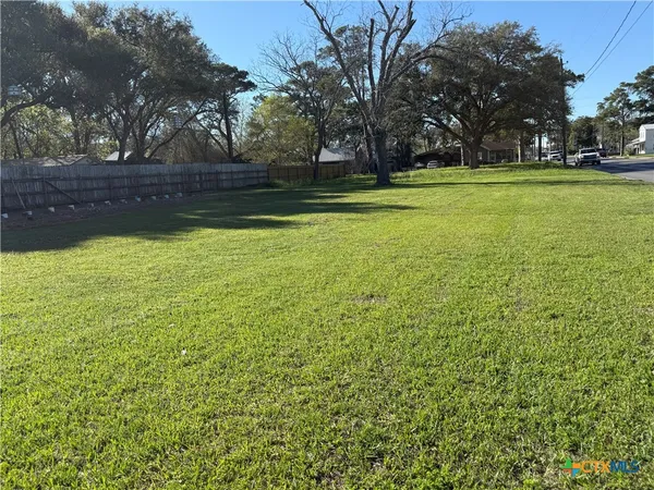 a view of a yard with a trees
