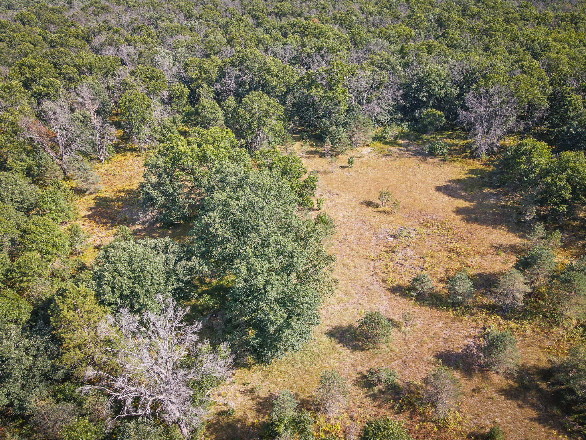 10 West Mile Road Irons, MI 49644 - Photo 3 of 42 DJI_0107