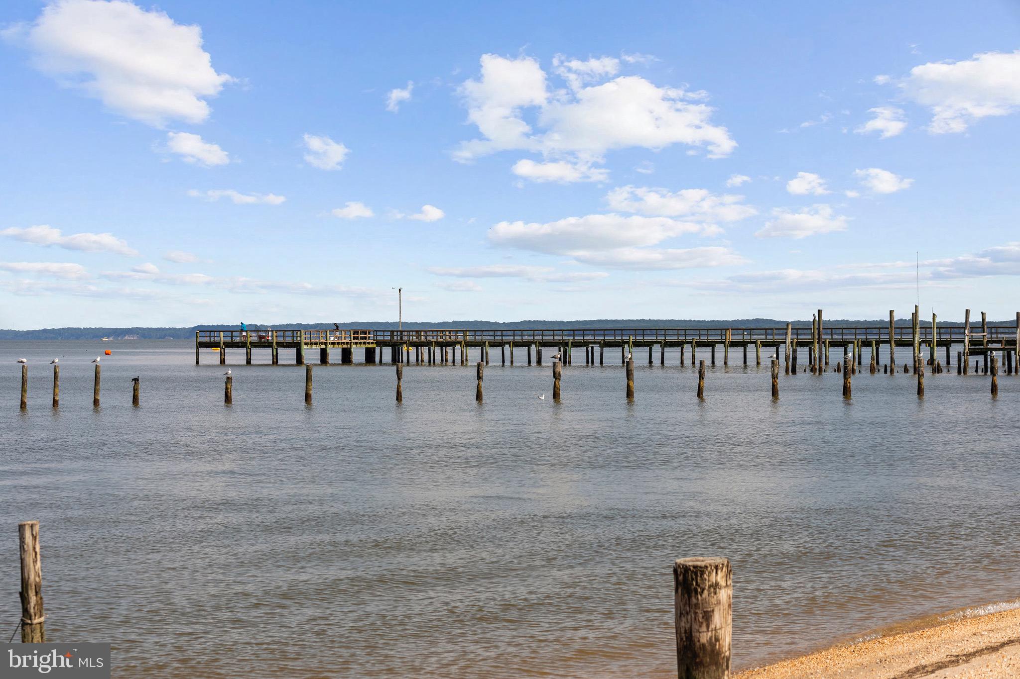 3504 Wakefield Street Colonial Beach, VA 22443 - Photo 42 of 53 a view of a yard with an outdoor space