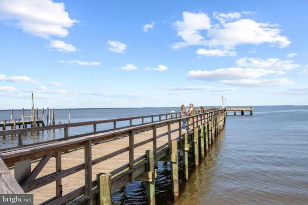 a view of a street with potted plants