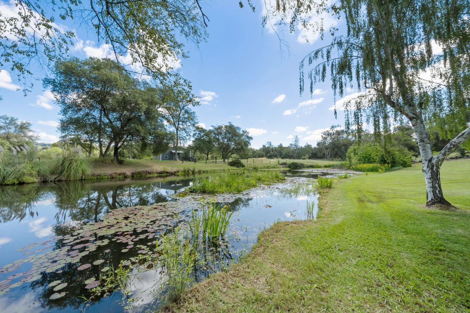 6445 Schindler Road Newcastle, CA 95658 - Photo 2 of 60