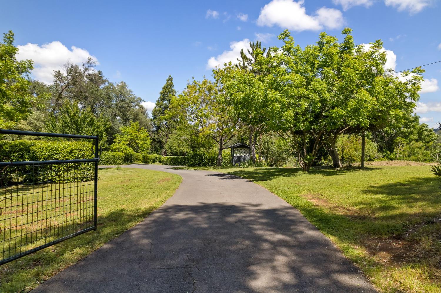 6445 Schindler Road Newcastle, CA 95658 - Photo 33 of 60