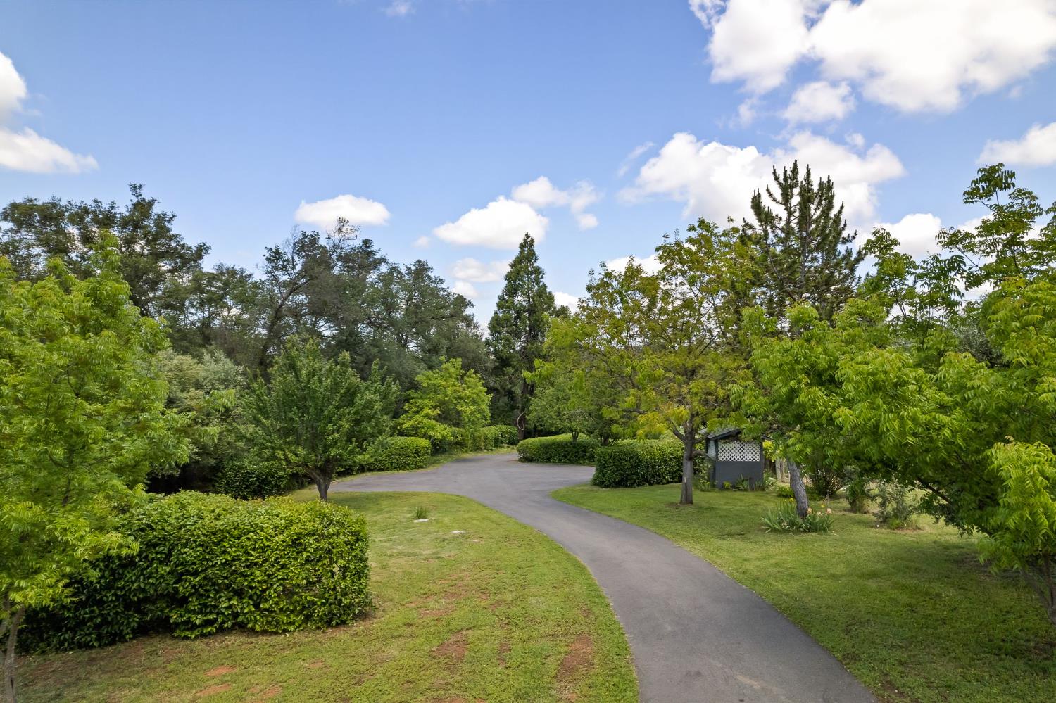 6445 Schindler Road Newcastle, CA 95658 - Photo 34 of 60