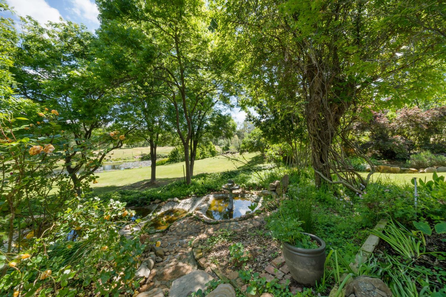 6445 Schindler Road Newcastle, CA 95658 - Photo 37 of 60