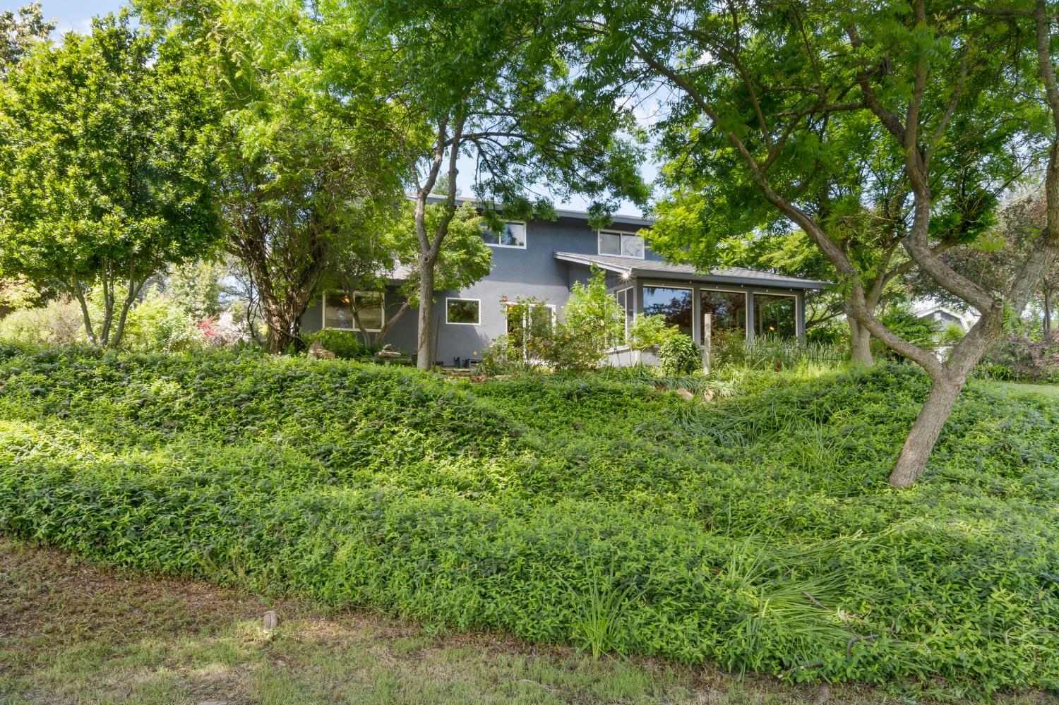 6445 Schindler Road Newcastle, CA 95658 - Photo 38 of 60