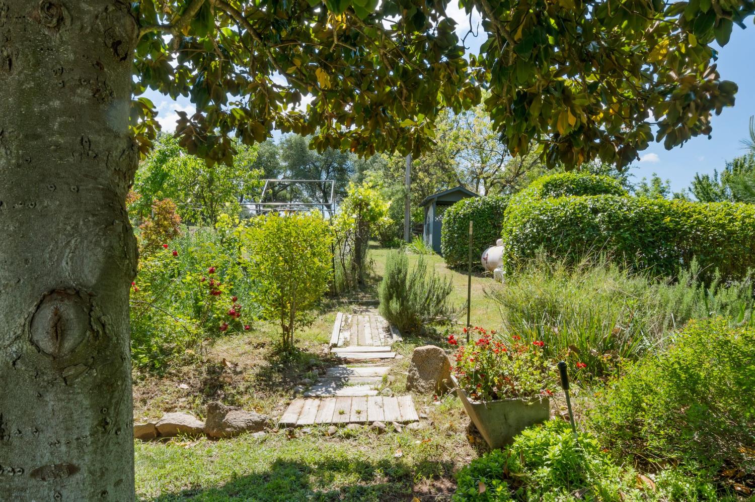 6445 Schindler Road Newcastle, CA 95658 - Photo 42 of 60