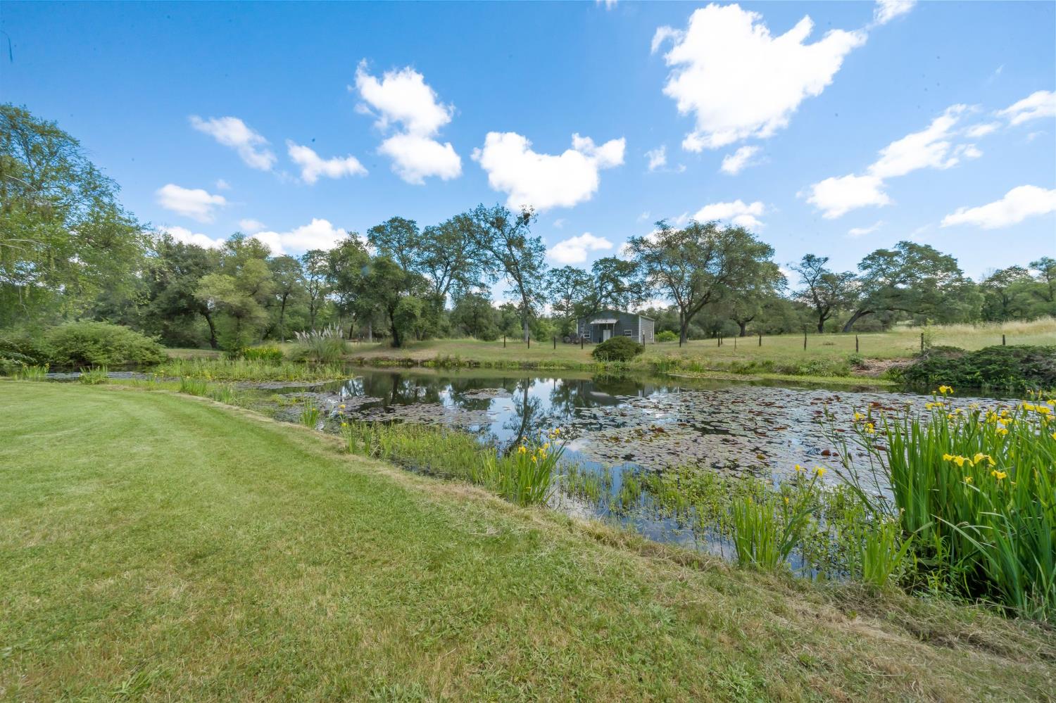 6445 Schindler Road Newcastle, CA 95658 - Photo 45 of 60