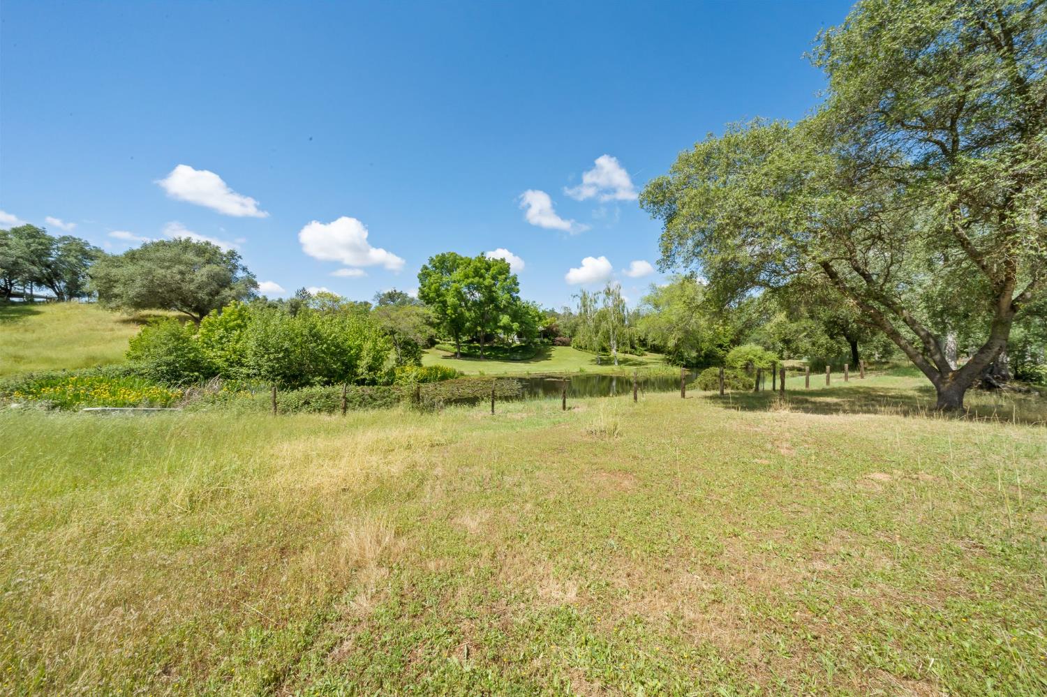 6445 Schindler Road Newcastle, CA 95658 - Photo 48 of 60