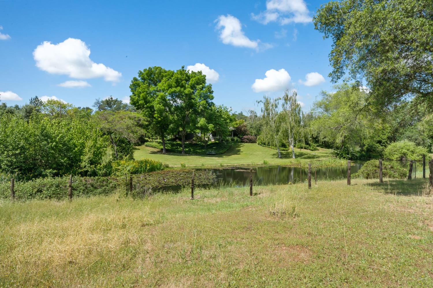 6445 Schindler Road Newcastle, CA 95658 - Photo 49 of 60