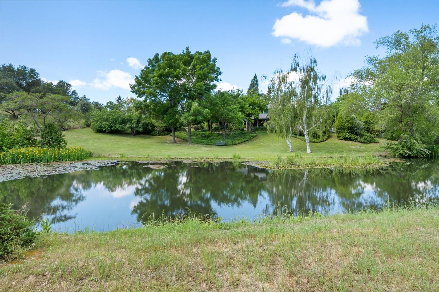 6445 Schindler Road Newcastle, CA 95658 - Photo 50 of 60