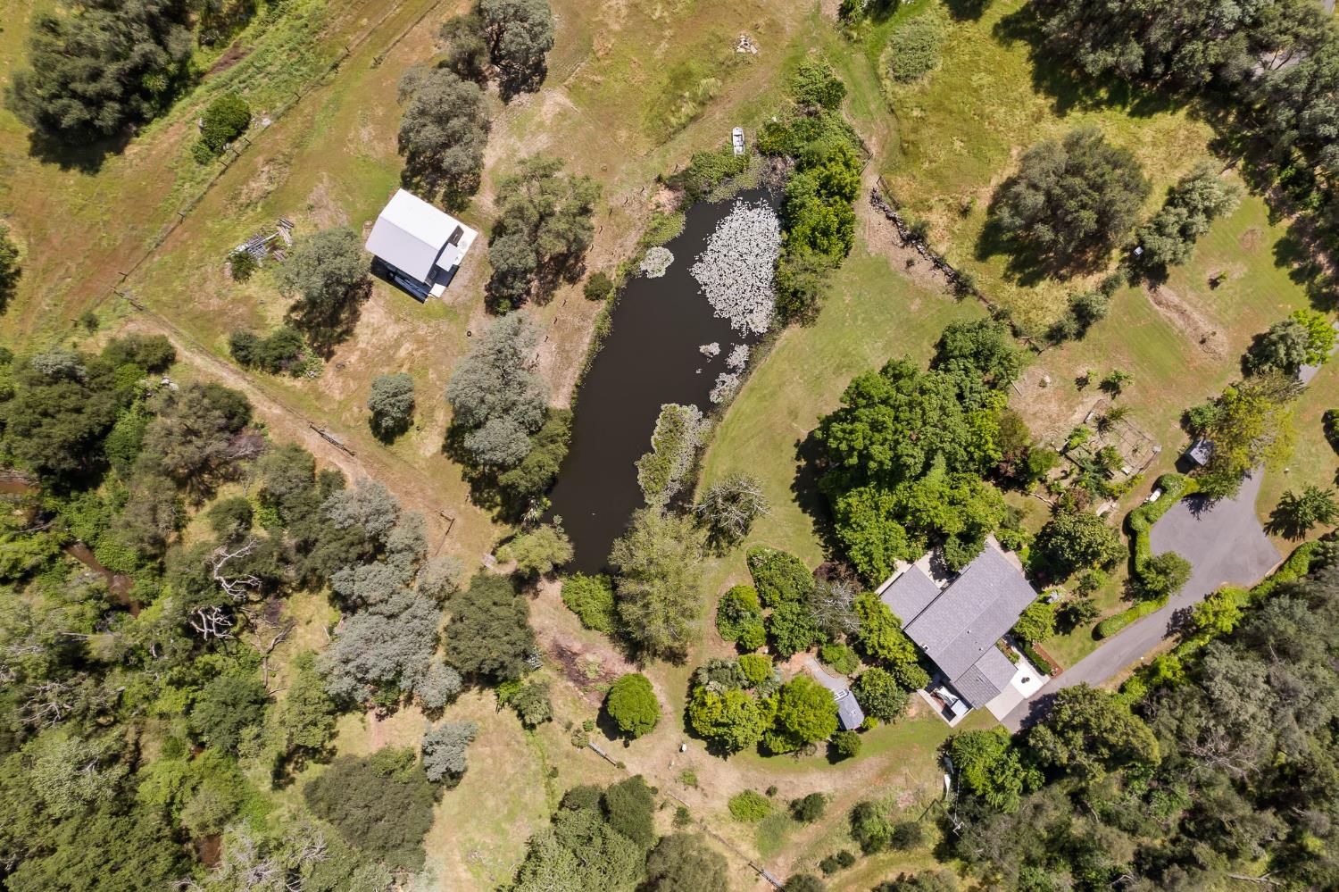 6445 Schindler Road Newcastle, CA 95658 - Photo 53 of 60