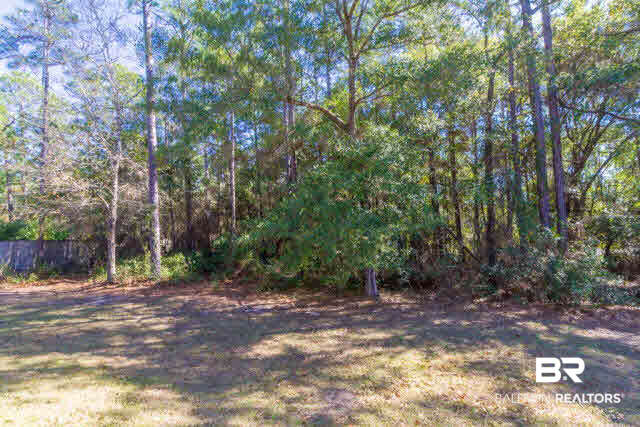 2557 Santa Rosa Drive Lillian, AL 36549 - Photo 17 of 17 Lot