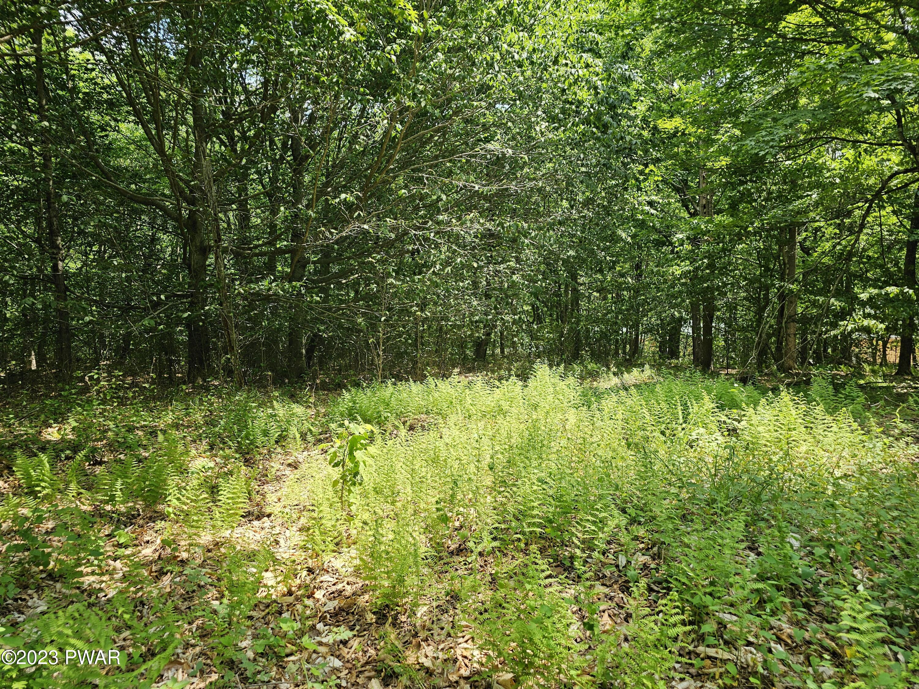Lot 69 Stonegate Road Equinunk, PA 18417 - Photo 7 of 29