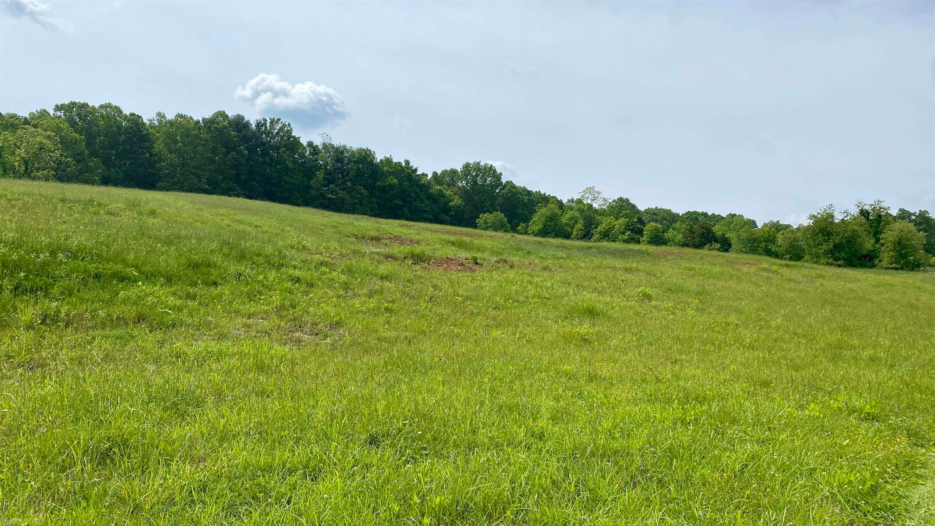 Tbd Castleton Road Max Meadows, VA 24360 - Photo 10 of 37 Gallery Image 10