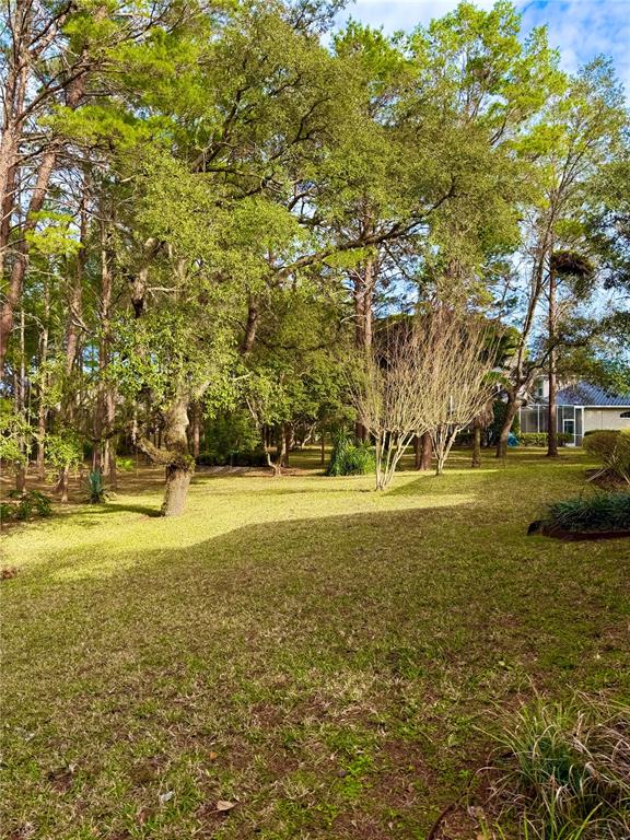 9448 Tooke Shore Drive Weeki Wachee, FL 34613 - Photo 27 of 27