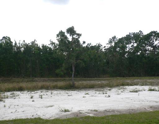 17686 88th Road North Loxahatchee, FL 33470 - Photo 10 of 10 Additional Photo