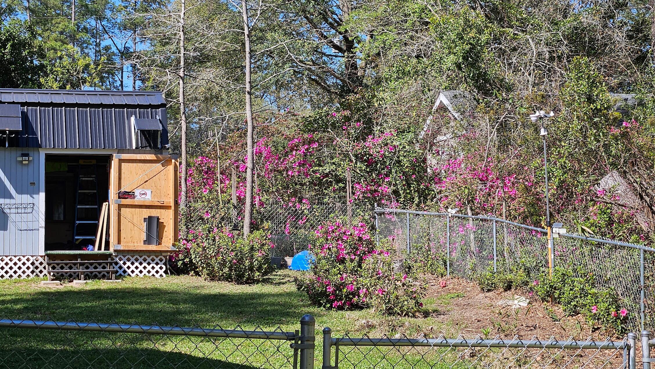 116 Underhill Road Walterboro, SC 29488 - Photo 31 of 35 backyard flowers