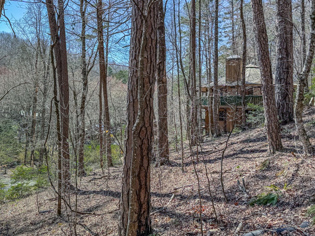 230 Tanglewood Drive Blue Ridge, GA 30513 - Photo 16 of 20