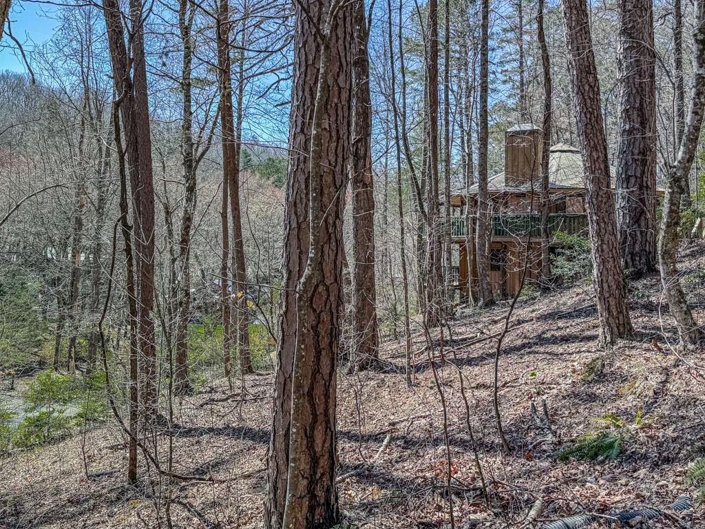 230 Tanglewood Drive Blue Ridge, GA 30513 - Photo 17 of 20