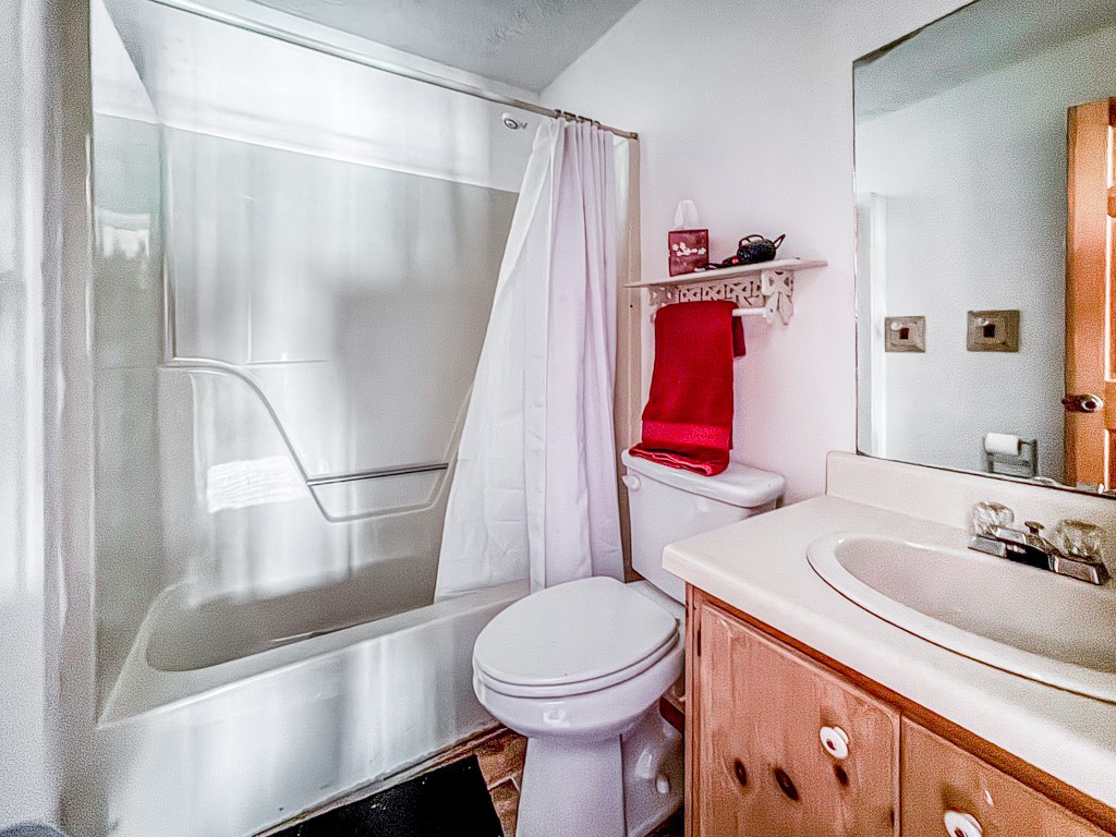 230 Tanglewood Drive Blue Ridge, GA 30513 - Photo 9 of 20