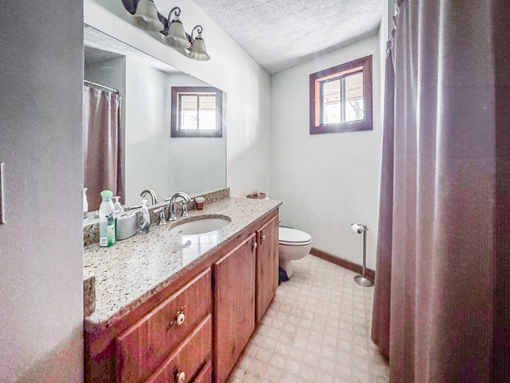 230 Tanglewood Drive Blue Ridge, GA 30513 - Photo 10 of 20