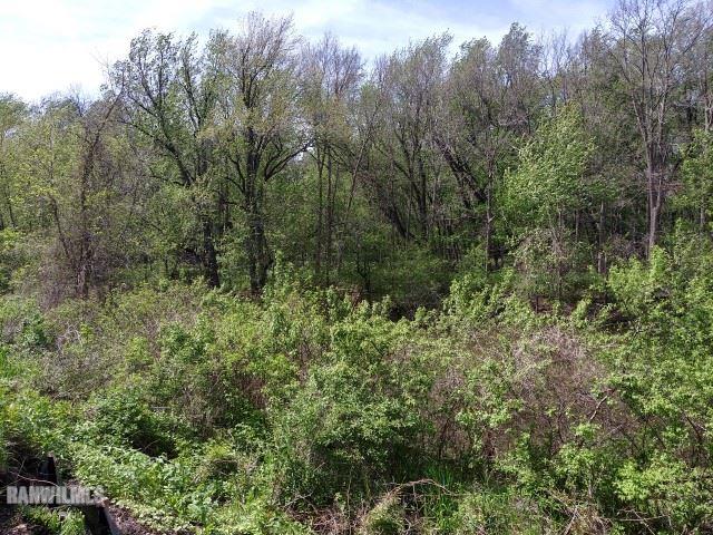 Tbd Sumner Road Pecatonica, IL 61085 - Photo 5 of 7 a view of a forest with trees in the background