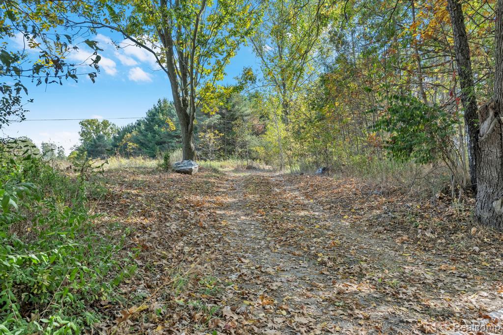14269 Cole Road Linden, MI 48451 - Photo 59 of 67