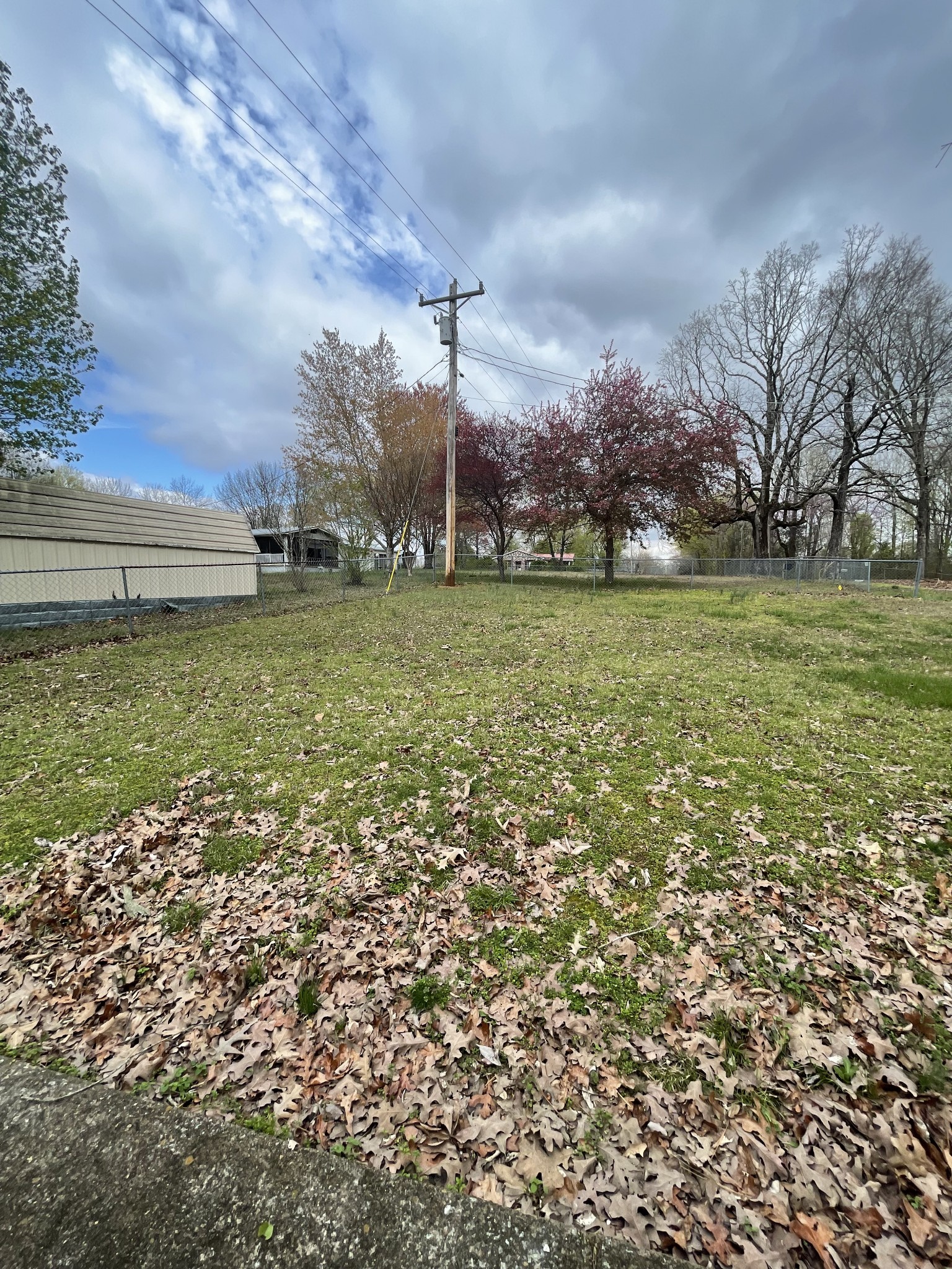 1733 Pump Station Road New Johnsonville, TN 37134 - Photo 19 of 20 a view of a field with a tree in it