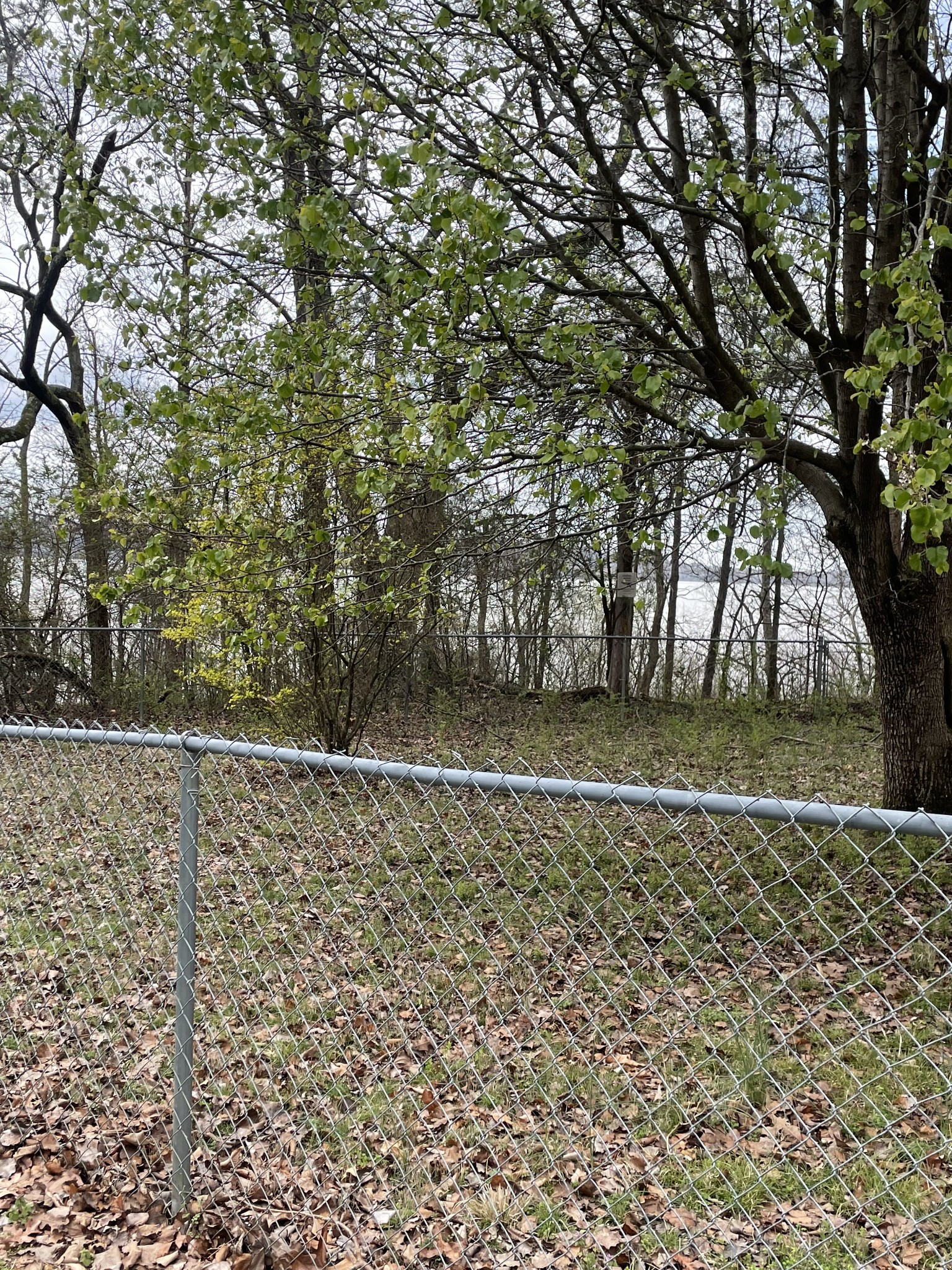 1733 Pump Station Road New Johnsonville, TN 37134 - Photo 20 of 20 a view of outdoor space and yard
