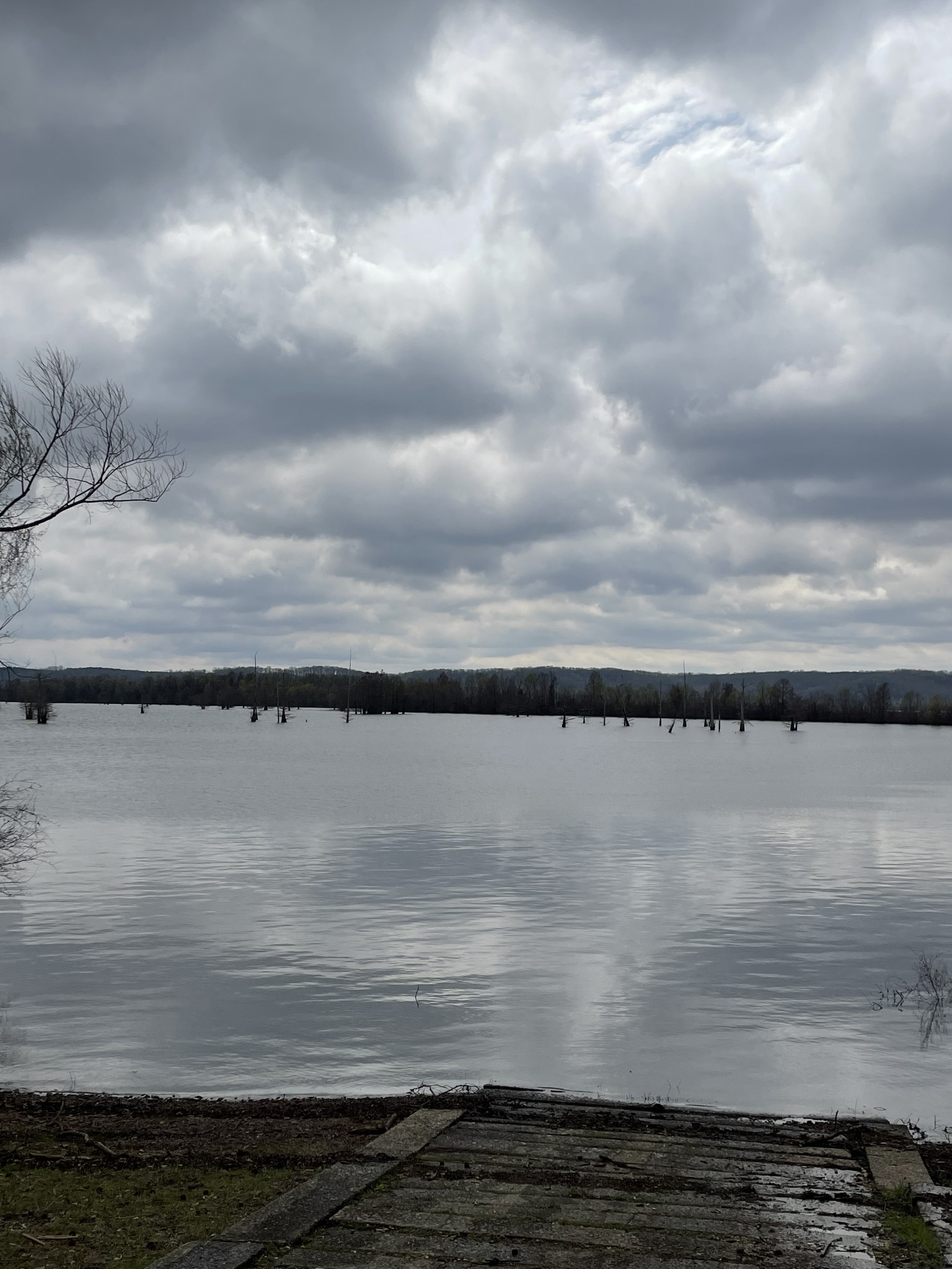1733 Pump Station Road New Johnsonville, TN 37134 - Photo 4 of 20