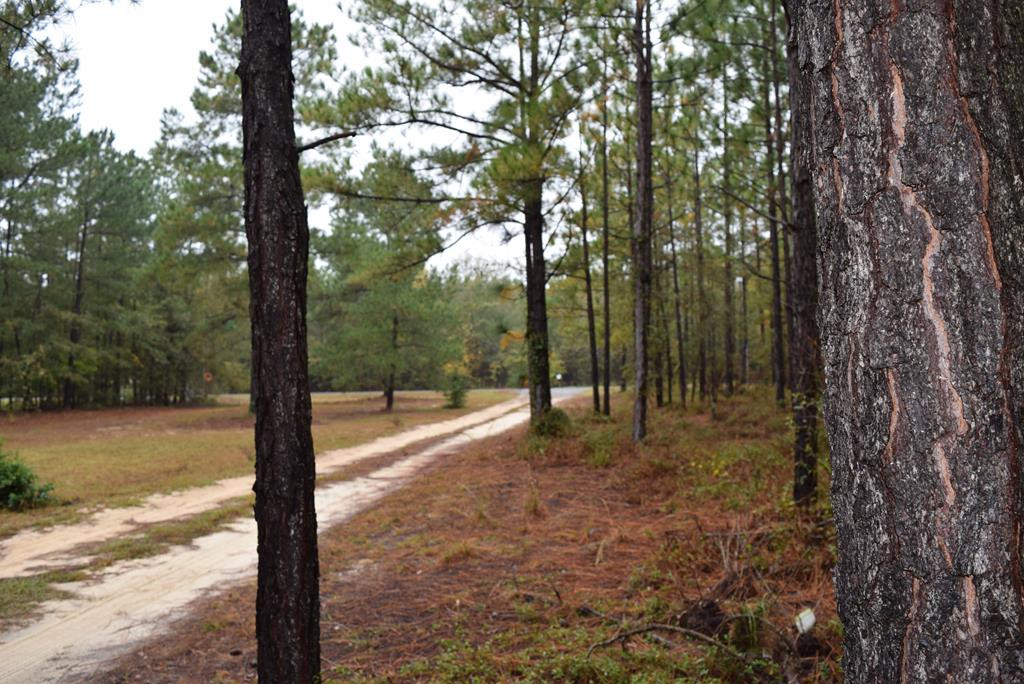 182 Hamelin Road Aiken, SC 29805 - Photo 28 of 29 Front