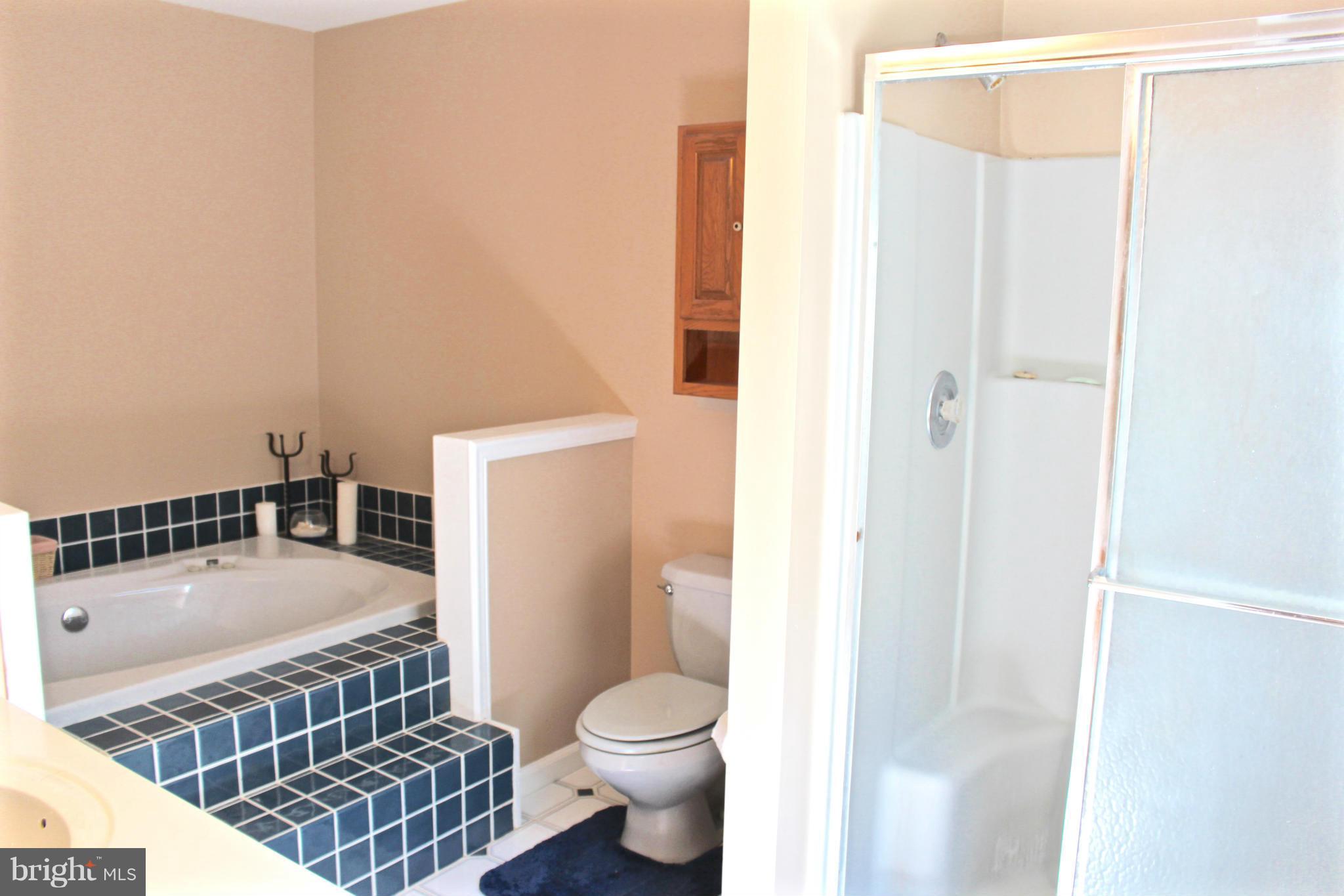 490 Swaggers Point Road Solomons, MD 20688 - Photo 14 of 27 Bath (Master)
