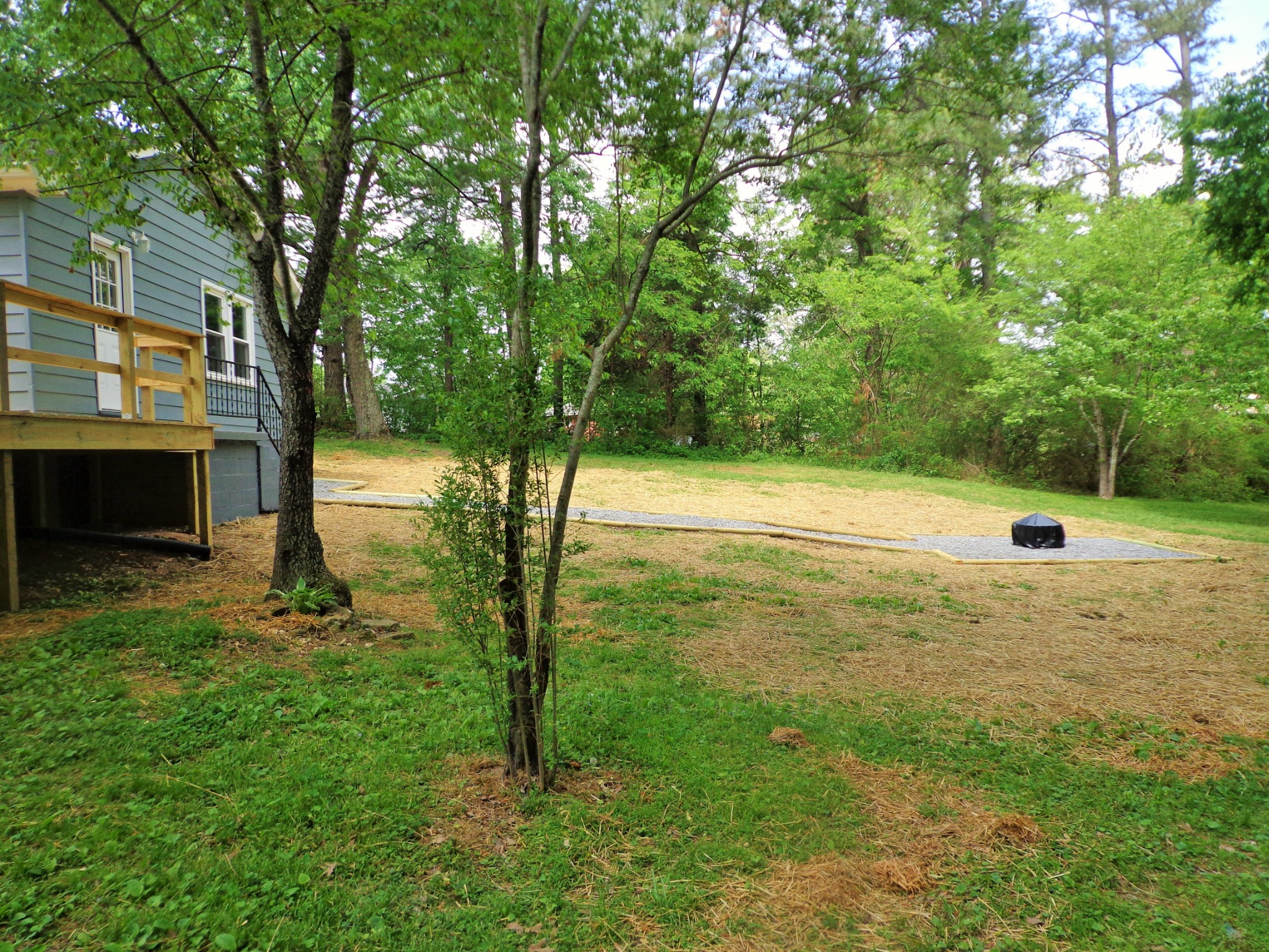 320 Old Stewart Road Tennessee Ridge, TN 37178 - Photo 28 of 34 a view of a yard with a tree