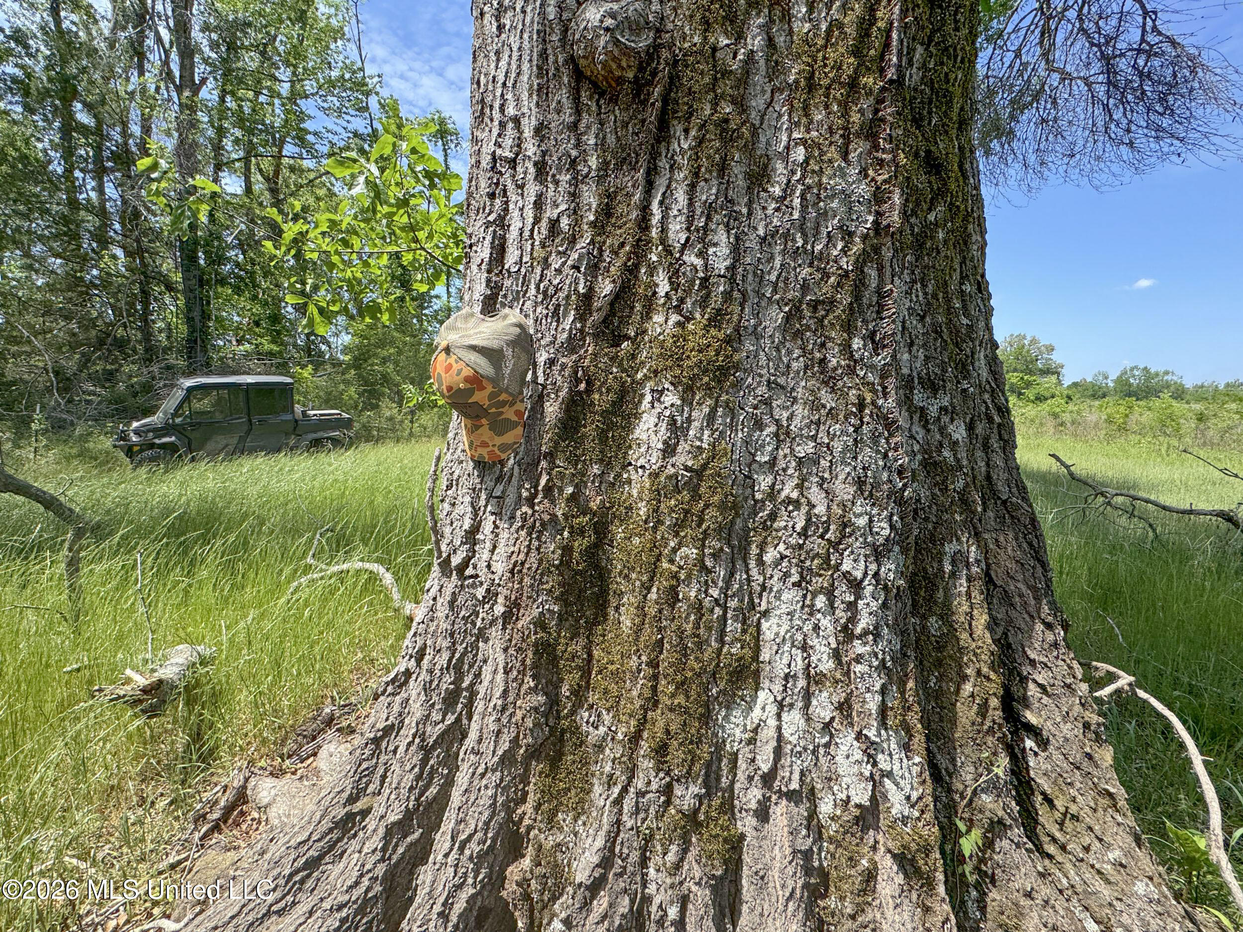 Chinqupin Road Lexington, MS 39095 - Photo 205 of 210 8chqpn93