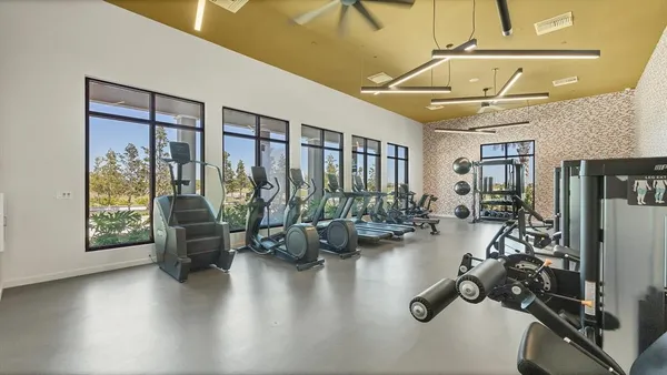 a view of a park with palm trees