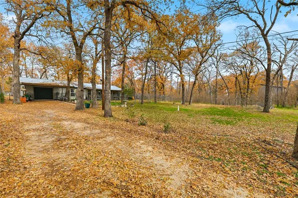 a view of a yard with a tree