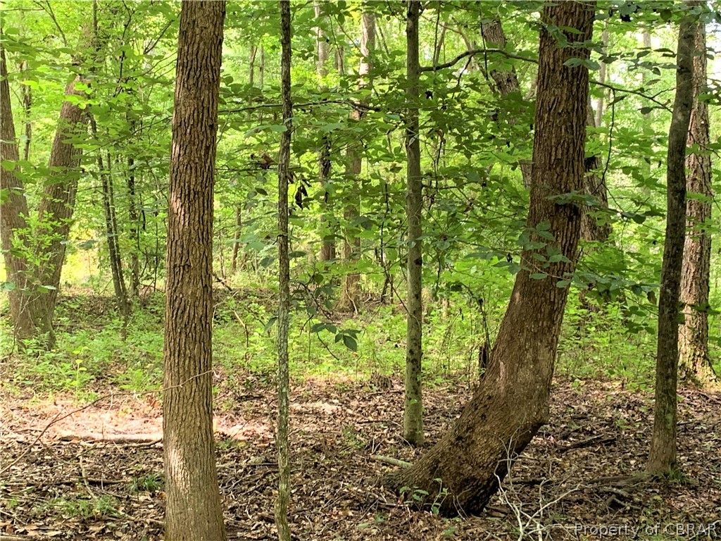 1 Newton Road Newtown, VA 23126 - Photo 5 of 20