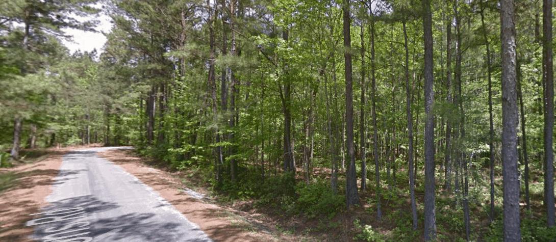 0 Barons Road, Unit LOT 6 Summerville, SC 29483 - Photo 3 of 8 ScreenHunter_02 Jun. 11 10.46