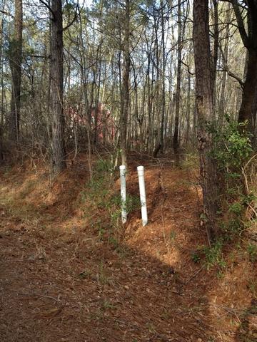0 Barons Road, Unit LOT 6 Summerville, SC 29483 - Photo 6 of 8 resized04