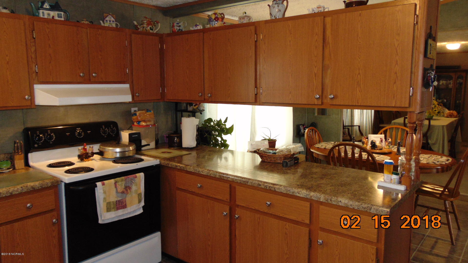 100 Horton Road Tarboro, NC 27886 - Photo 19 of 32 DSC00143