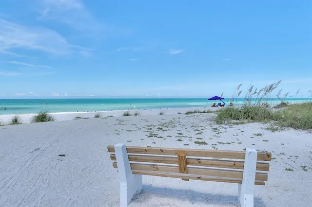 a view of a dry yard with wooden fence