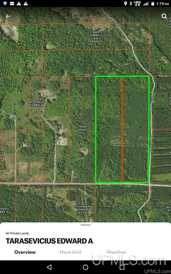Tbd East 26 Mile Road Pickford, MI 49774 - Photo 1 of 1
