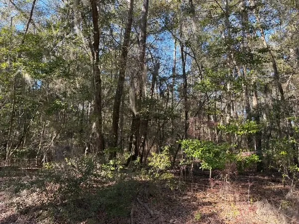 $125,000 | 0 Trade Hill Road, Midway, GA 31320