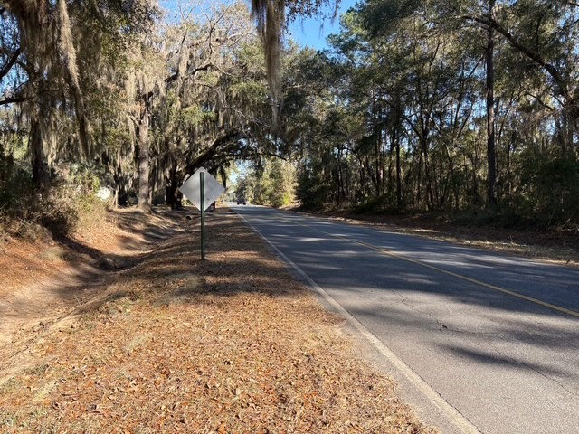 0 Trade Hill Road Midway, GA 31320 - Photo 4 of 10