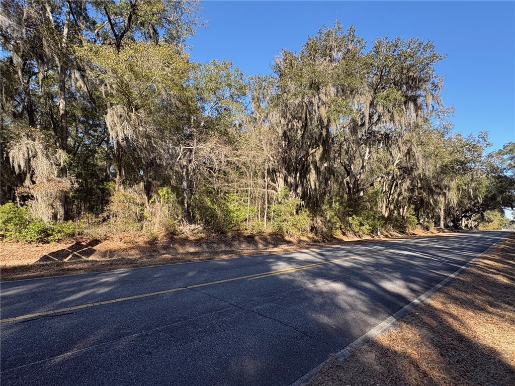 0 Trade Hill Road Midway, GA 31320 - Photo 5 of 10