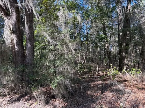 $125,000 | 0 Trade Hill Road, Midway, GA 31320