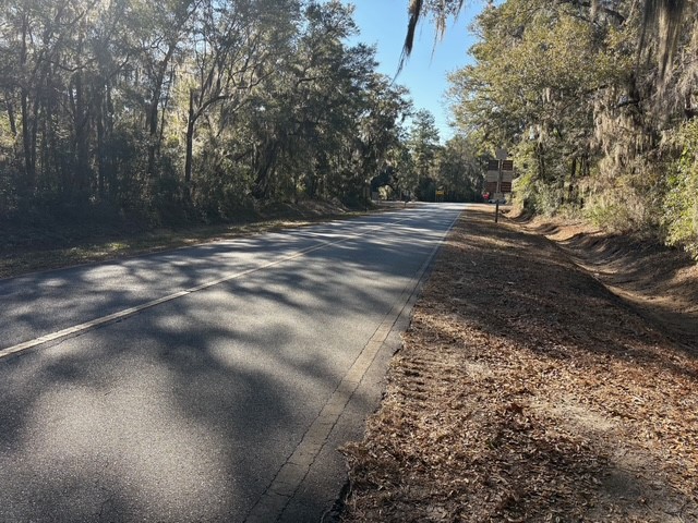 0 Trade Hill Road Midway, GA 31320 - Photo 9 of 10