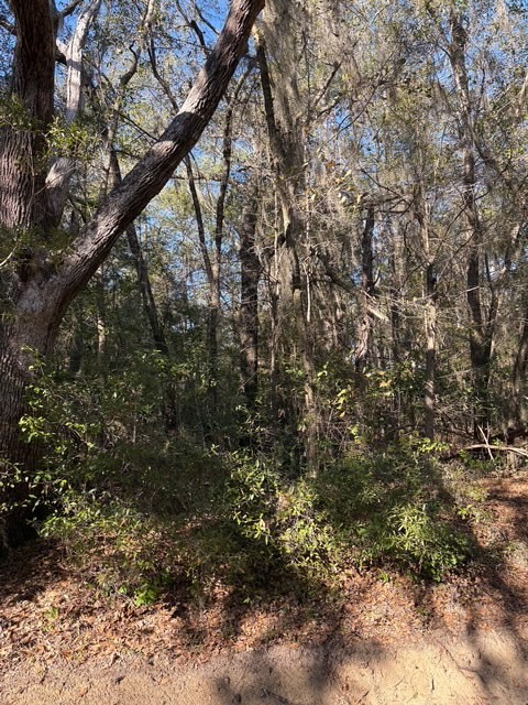 0 Trade Hill Road Midway, GA 31320 - Photo 10 of 10